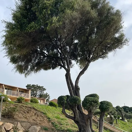 דירה T2 Alba Rossa N 141 Confort, Panorama Incroyable